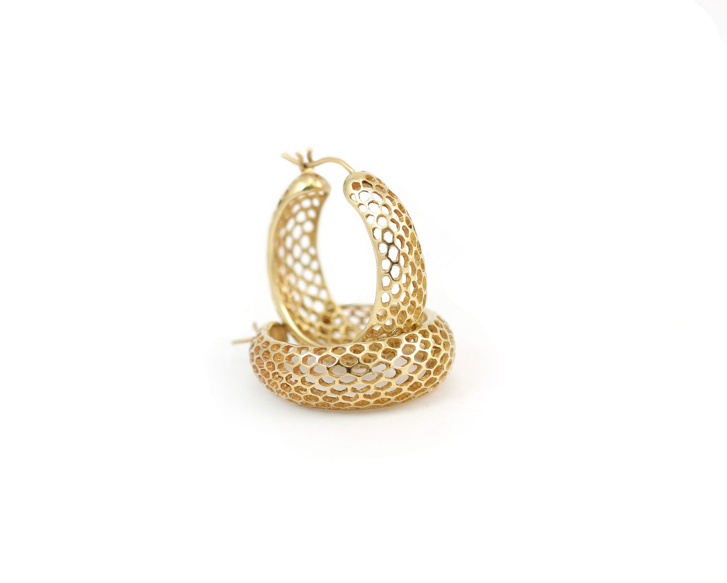 Snakeskin Round Hoop Earrings in 14k gold