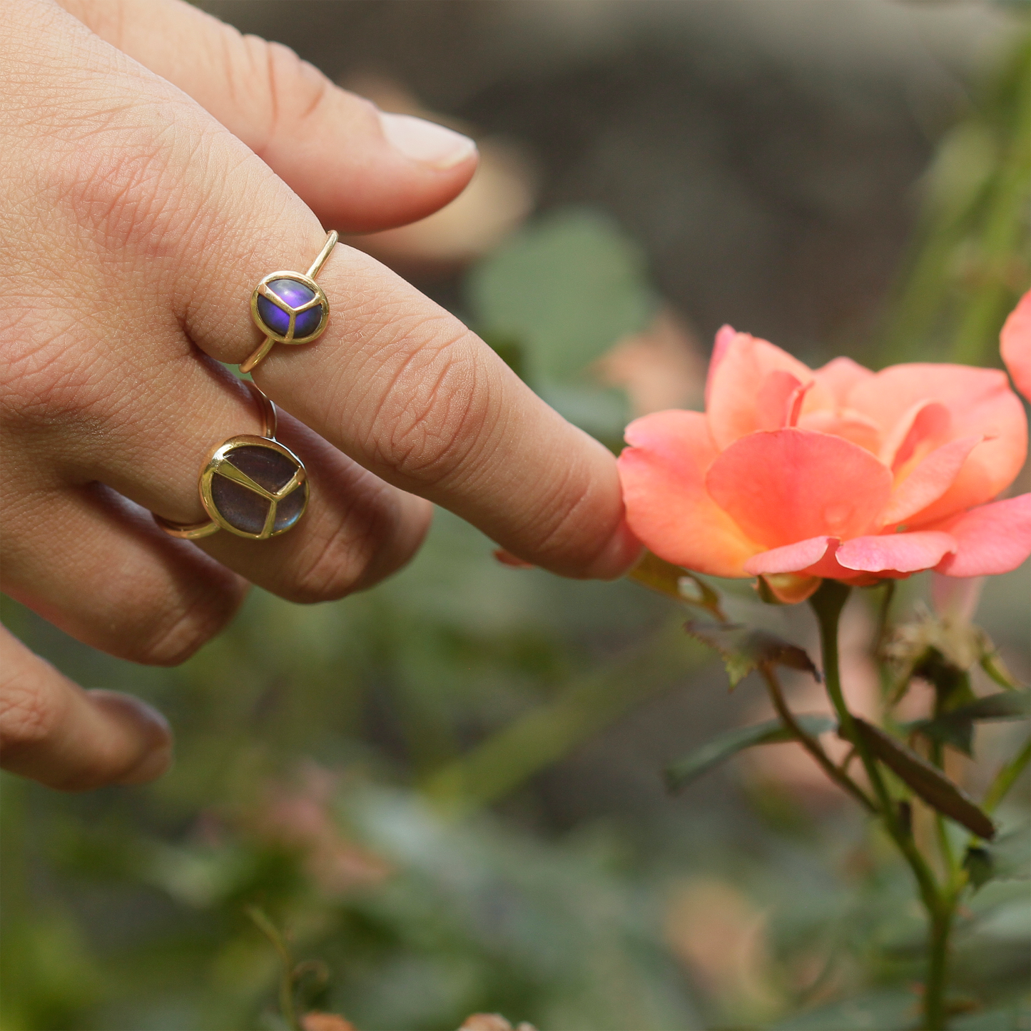 Hand touching a flower, while wearing two rings