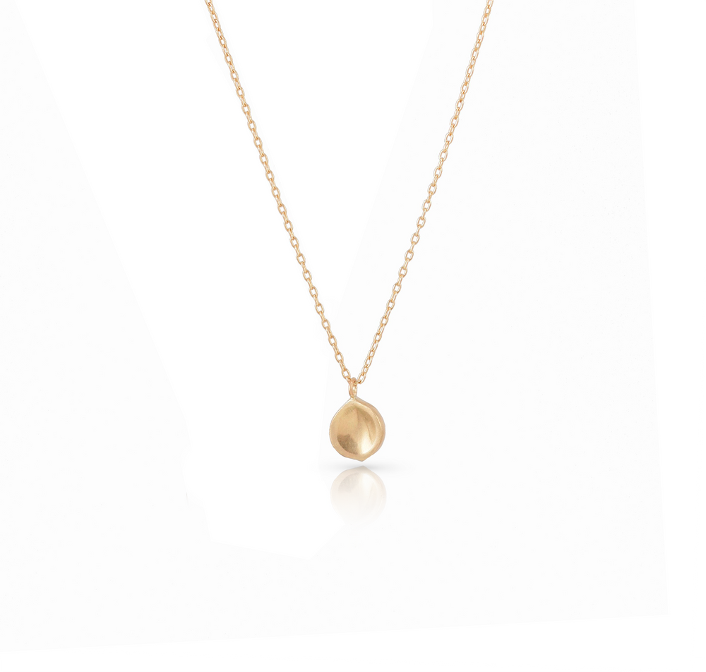 Seed Necklace in 14k Gold