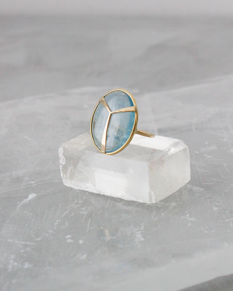 
                  
                    Lucky Scarab Ring in Aquamarine and 14k Gold
                  
                
