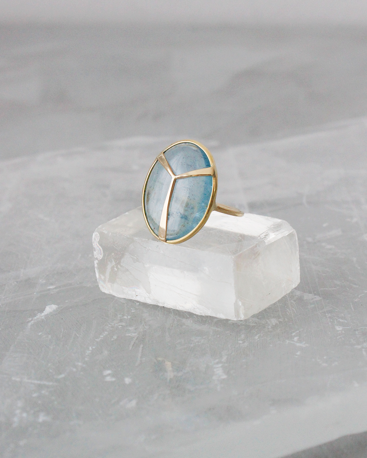 
                  
                    Lucky Scarab Ring in Aquamarine and 14k Gold
                  
                