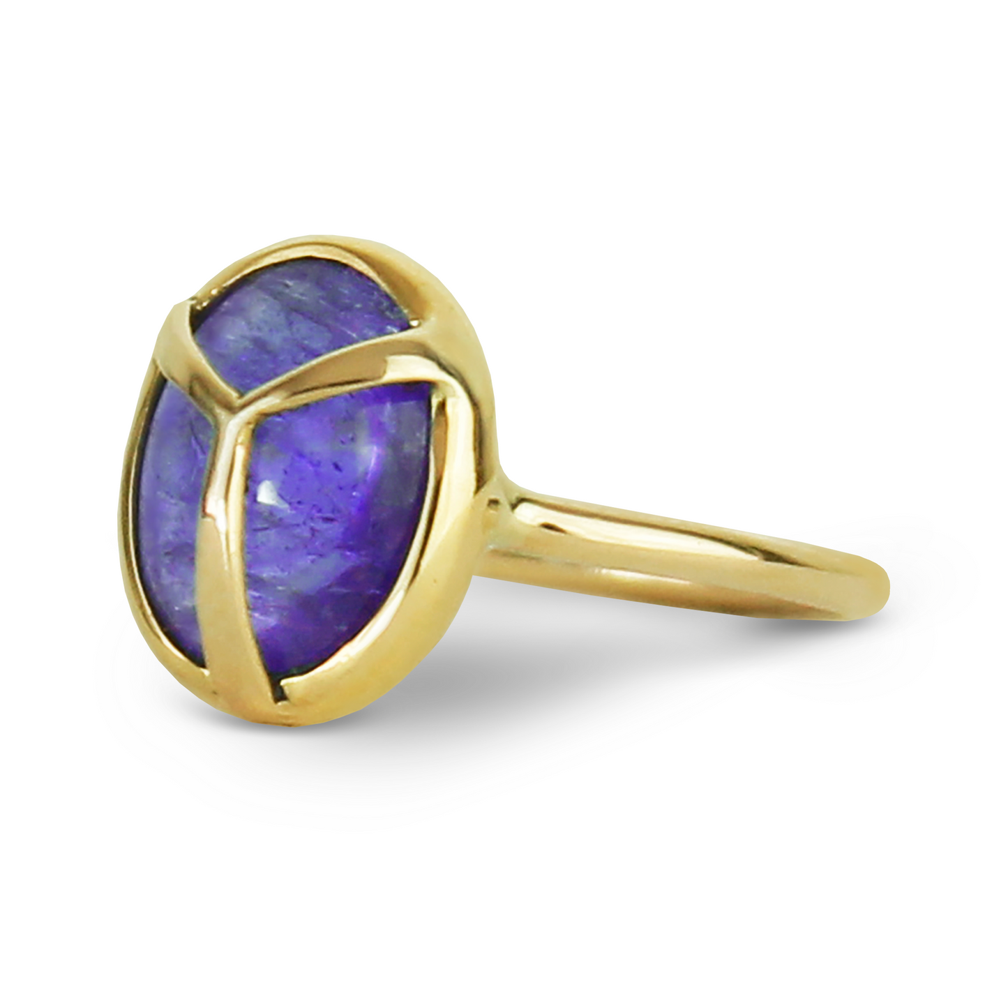 
                  
                    Lucky Scarab Ring in Tanzanite and 14k Gold
                  
                